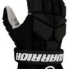 Warrior 2022 Fatboy Ball Hockey Gloves 2 Warrior 2022 Fatboy Ball Hockey Gloves -Hockey Sale Shop FBG BK 1cdcb7f3 3ef4 4d23 9b44 ce1a4ac20b3e